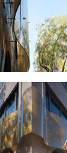 Emerson Tenant