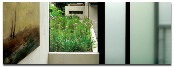 Bellomo Architects Picture