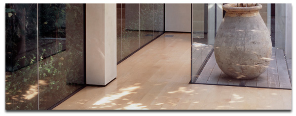 Bellomo Architects Picture